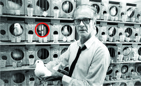 Aparición del espiritu de Watson en una jaula de paloma del laboratorio de Skinner