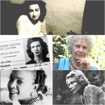 Image 3-8-15 at 11.39